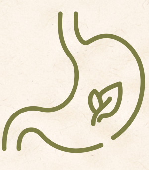 Digestive Imbalance